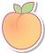 Bright Peach Illustration_edited.png