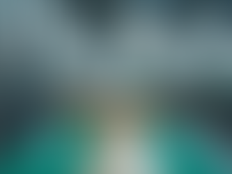 Best Places to Buy Customized Packaging Equipment