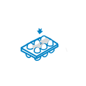 Egg tray1