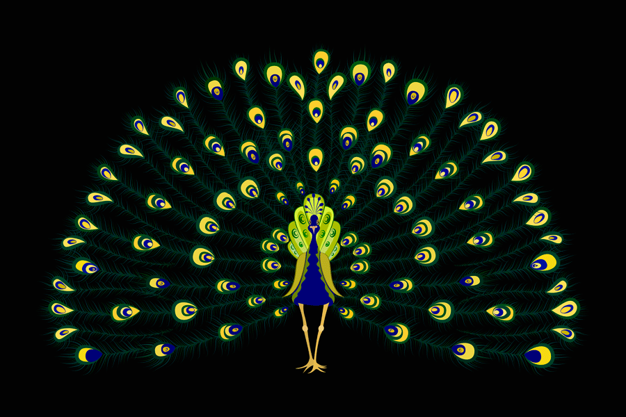 peacock-gif-animation.gif