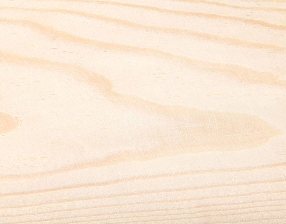 Light Wood Panel