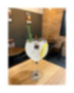 Gin Tônica
