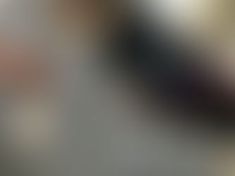 Organisation sociale chez le chien ou Ethologie.