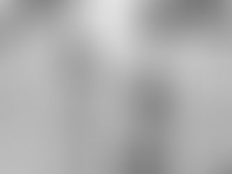 Comment empêcher votre chien de manger n'importe quoi? et surtout les chenilles processionnaires...