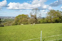 view