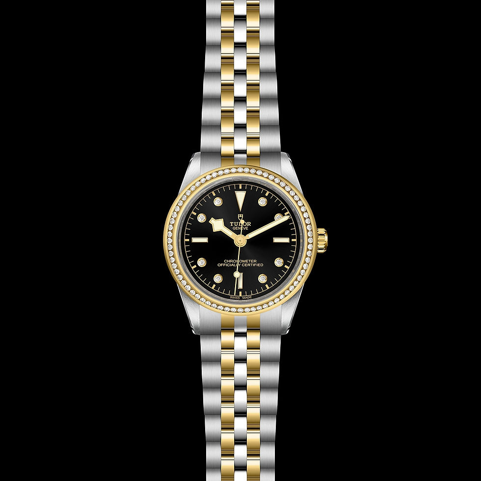 Thumbnail: TUDOR Black Bay 39 S&G