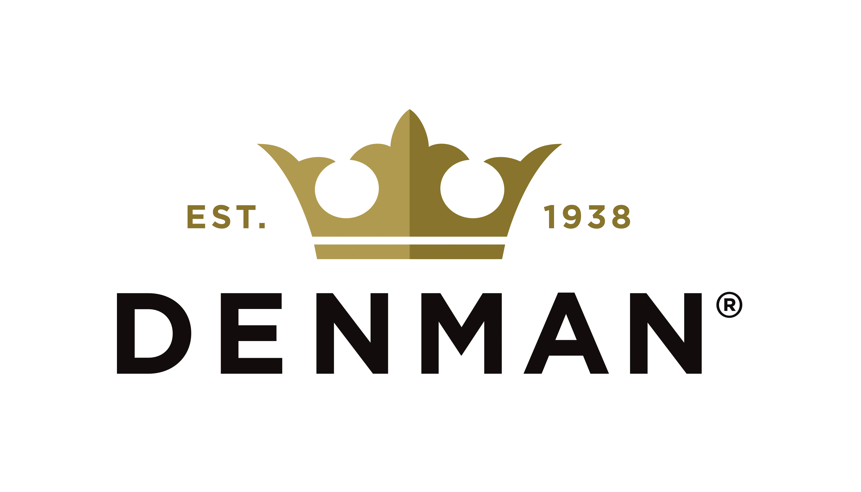 denman brush.webp