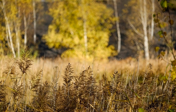 Lumières Automnales 17