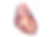 Untitled (5).png