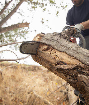 closeup-lumberjack-with-chainsaw-forest (1).jpg
