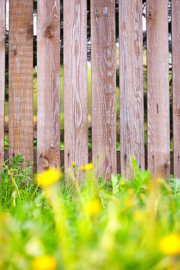wooden-fence-background-with-grass-border.jpg