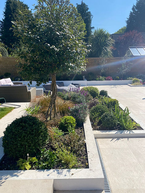 Modern Planting Design with strong evergreen structure 