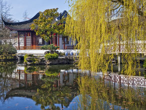 Beautiful Dr. Sun Yat-Sen Classical Chinese Garden in Vancouver Chinatown area
