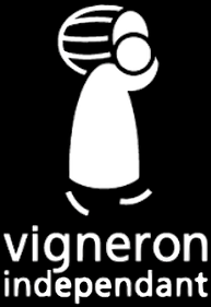 logo vi noir.png