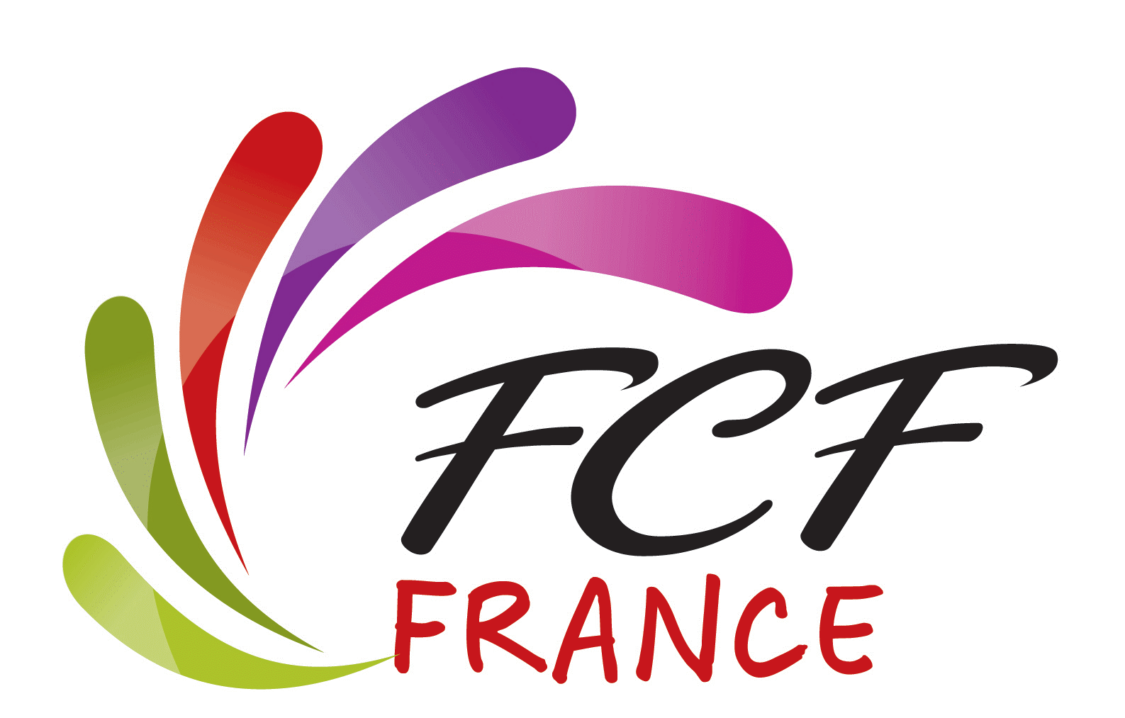 FCFFrance.gif