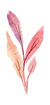 19.png