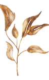 26.png