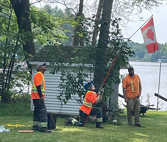 arborists setting up