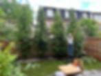 IMG-20240706-WA0000