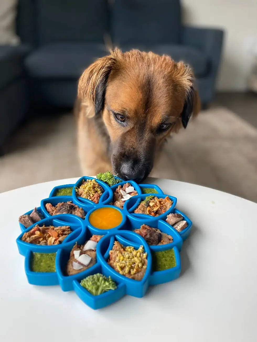 Thumbnail: Mandala eTray – Enrichment Feeding Tray for Dogs
