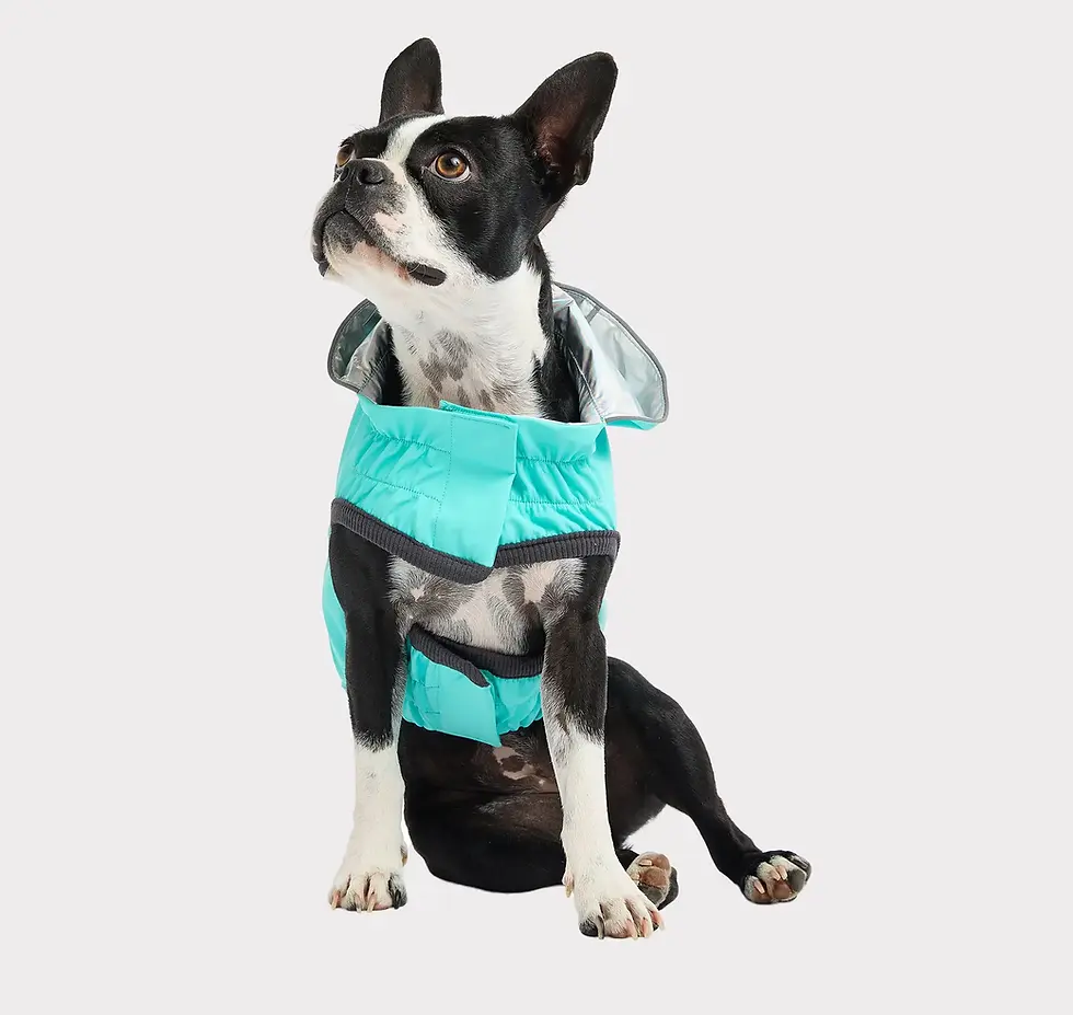 Thumbnail: GF Pet Reversible Raincoat