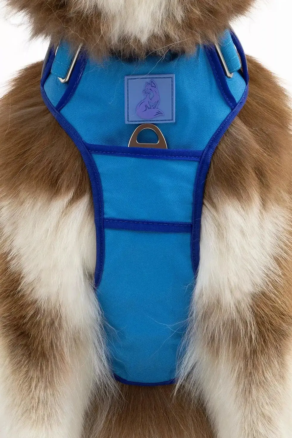 Thumbnail: Blue dog harness for everyday walks by Aria the Fox