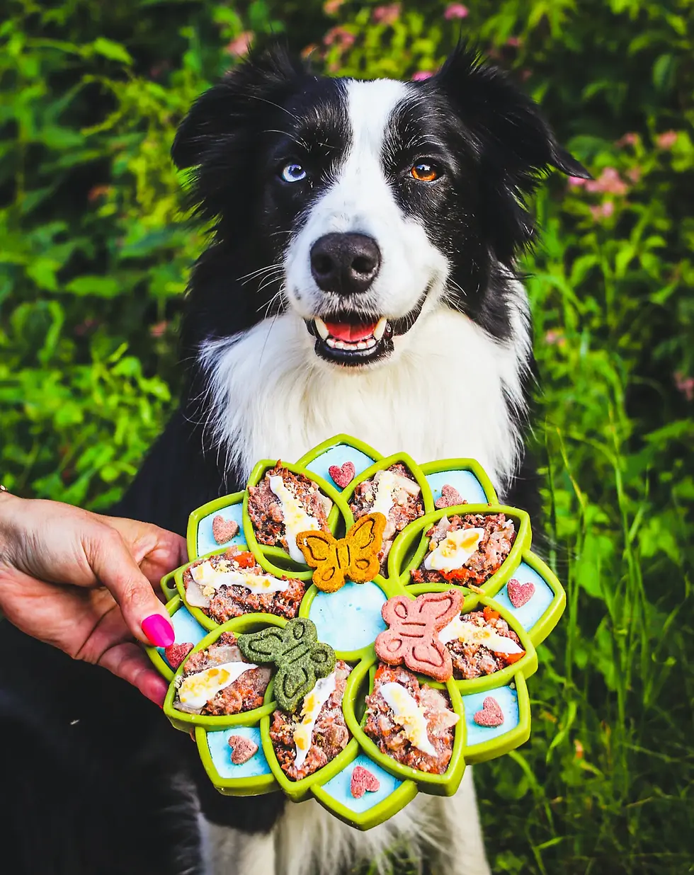 Thumbnail: Mandala eTray – Enrichment Feeding Tray for Dogs