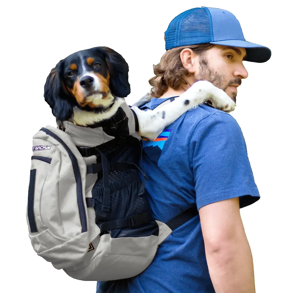 Thumbnail: K9 Sport Sack PLUS 2