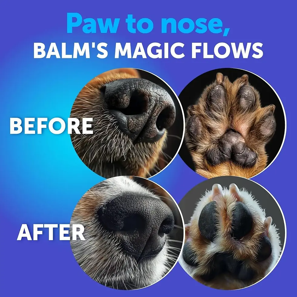 Thumbnail: Dog Paw Balm & Snout Soother – Moisturizing Relief