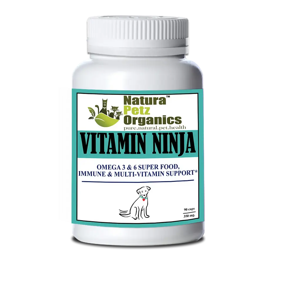 Thumbnail: Goat Milk + Berry Bone Broth – Antioxidant & Vision Support