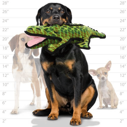 Tuffy Alligator squeaky dog toy for active pups