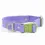 Thumbnail: Lavender Fields Forever – Waterproof Collar