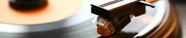 turnt2.gif
