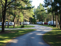 The Unwritten Rules of the Campground