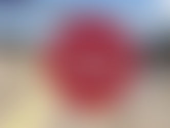 Behind the Gate: What Makes a Good Storage Lot Great