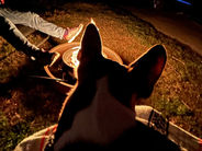 Campfire Stories – Go Big or Go Home