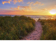The Michigan Summer Bucket List