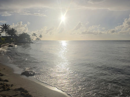 We Choose the Course