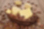 Natural Butters | Cosmetic Butters UK
