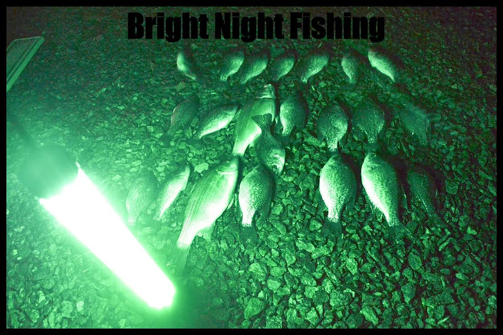 Thumbnail: Br:15000, 12v DC, 50ft Cord battery clamps