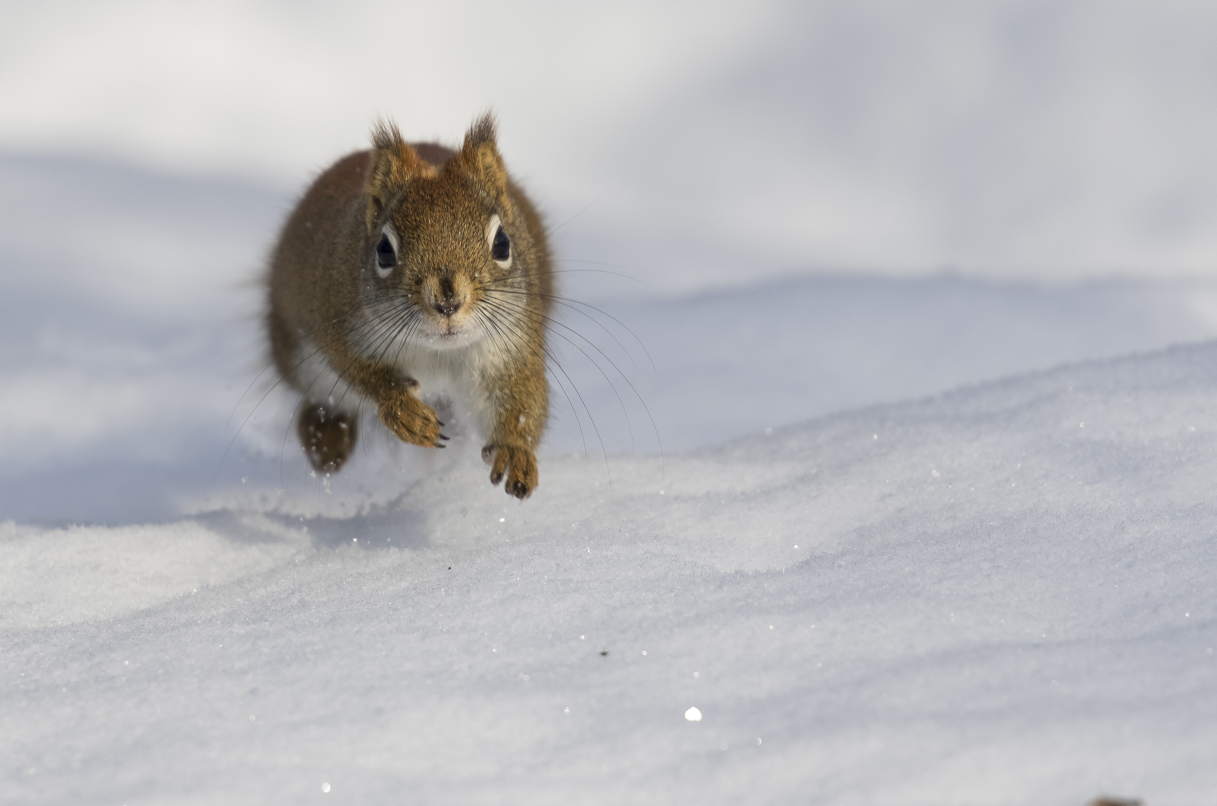 On the move