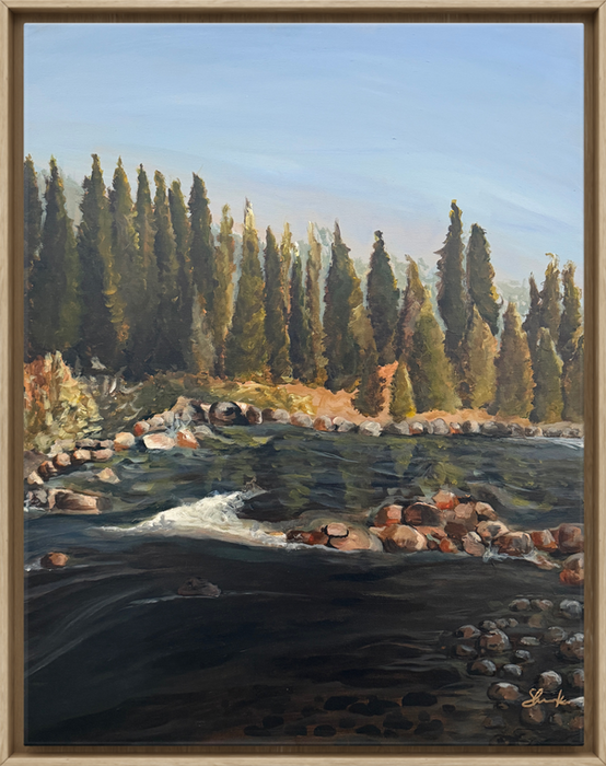 This is one of many images in a slideshow series showcasing different landscape paintings, this painting illustrates a calm river flowing along the San Juan Forest in Pagosa Springs, CO.