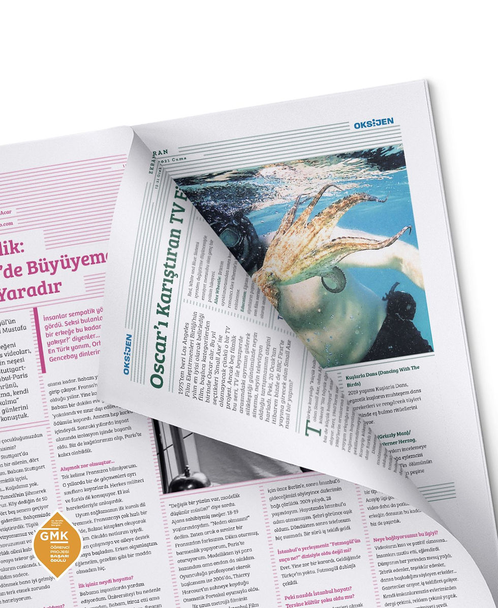 Editorial Design - Newspaper design