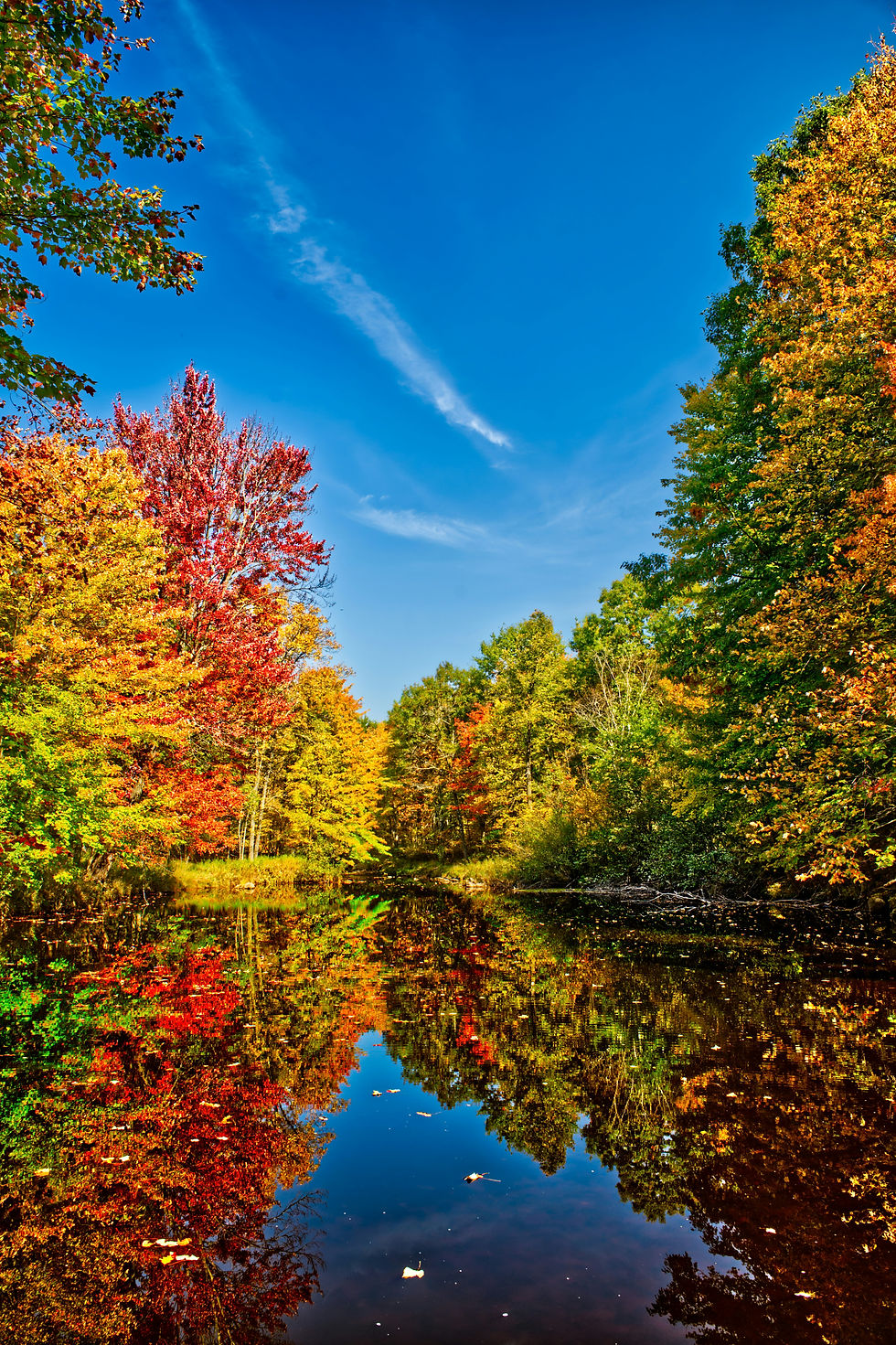 Fall 2025 Decor Guide