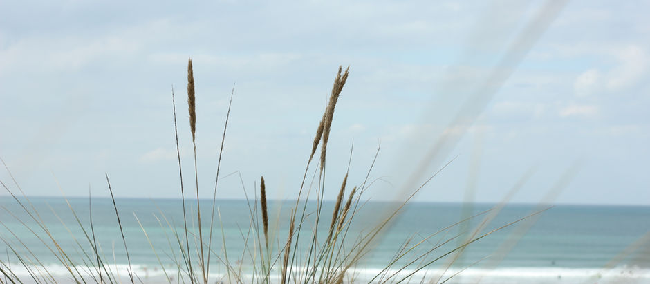 Healthy Living in Newquay, Cornwall!