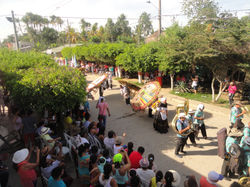 DSC03118 (2)