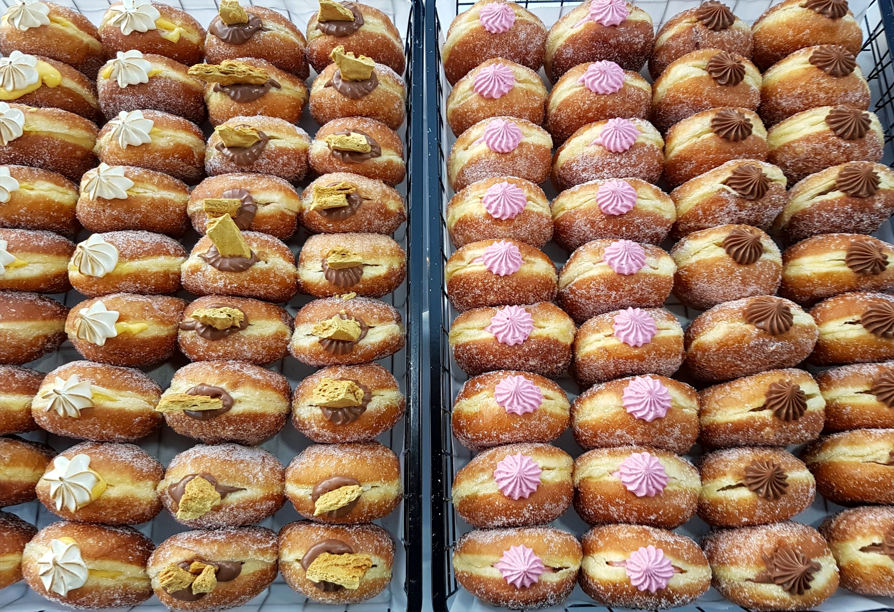 Arranged Food and Objects