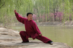 Zhang Dongwu, 7° Duan de Wushu