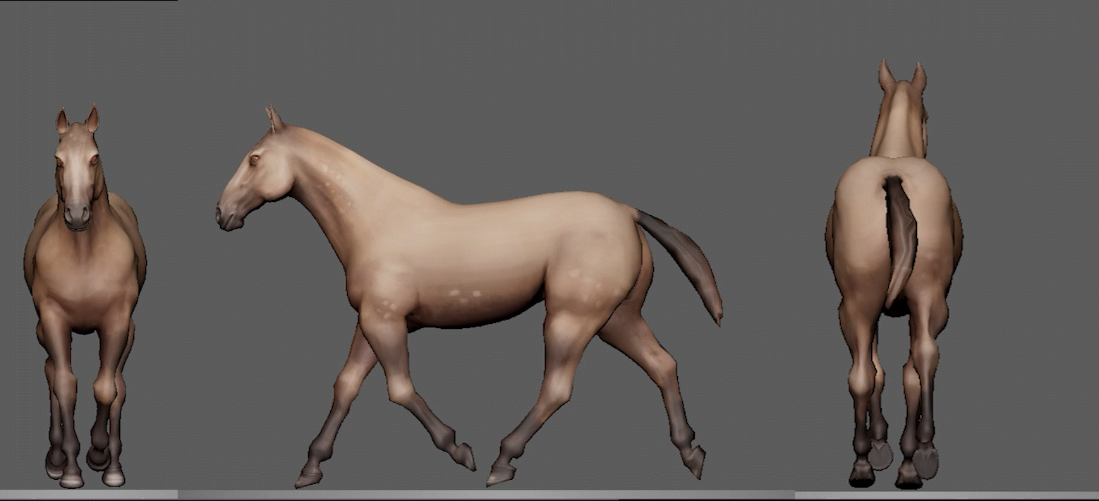 A03_HorseTrot_ChrisGermany_1.gif