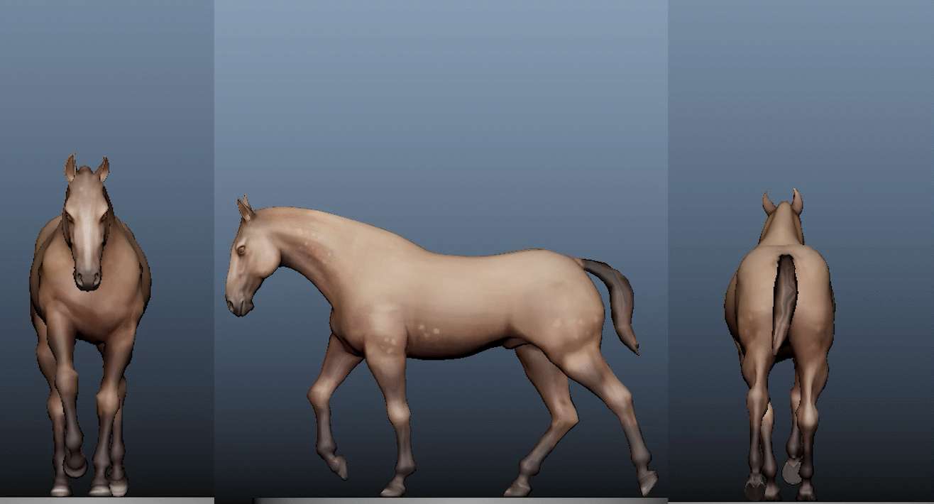 A02_HorseWalk_ChristopherGermany.gif